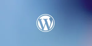 Die Entwicklung von WordPress